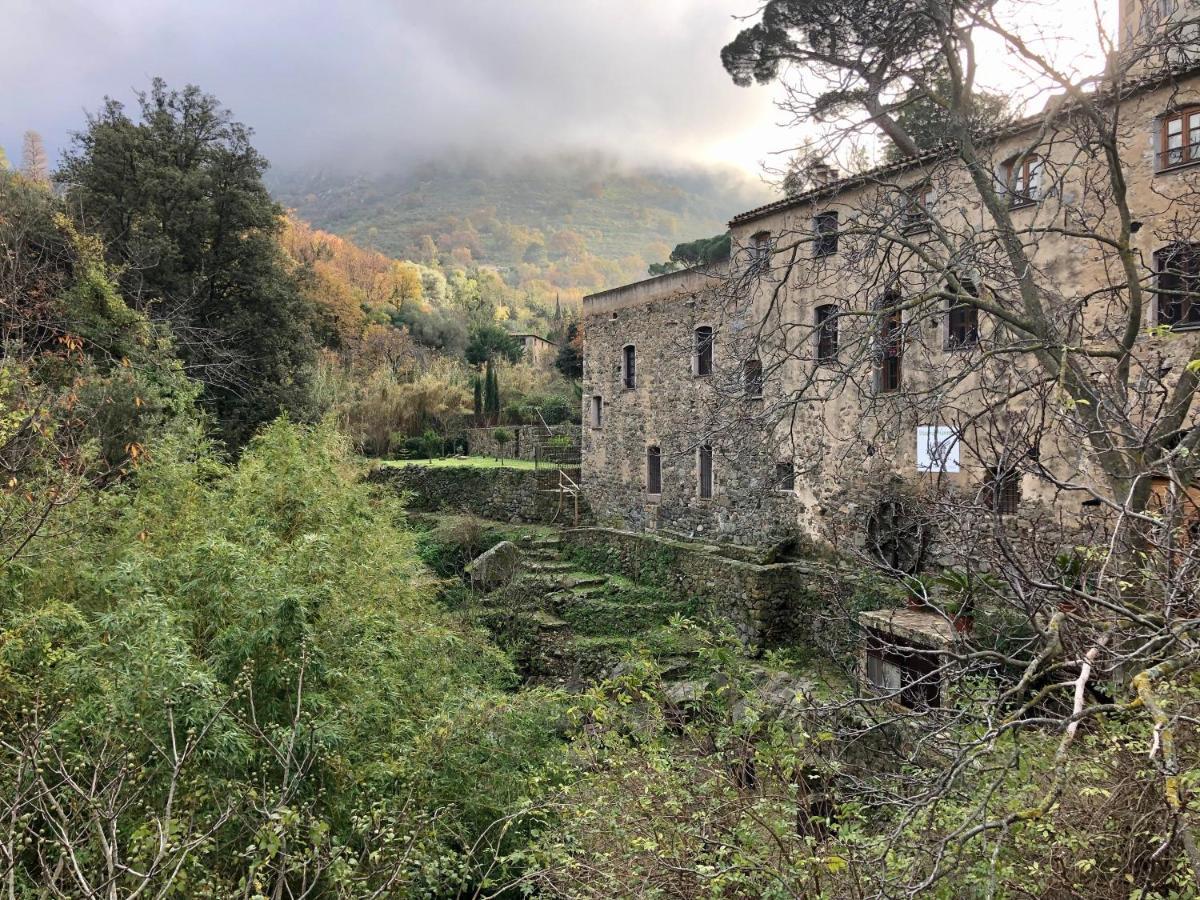 Chambres d'hôtes - Mulino nannaré Ville-di-Paraso Exterior foto